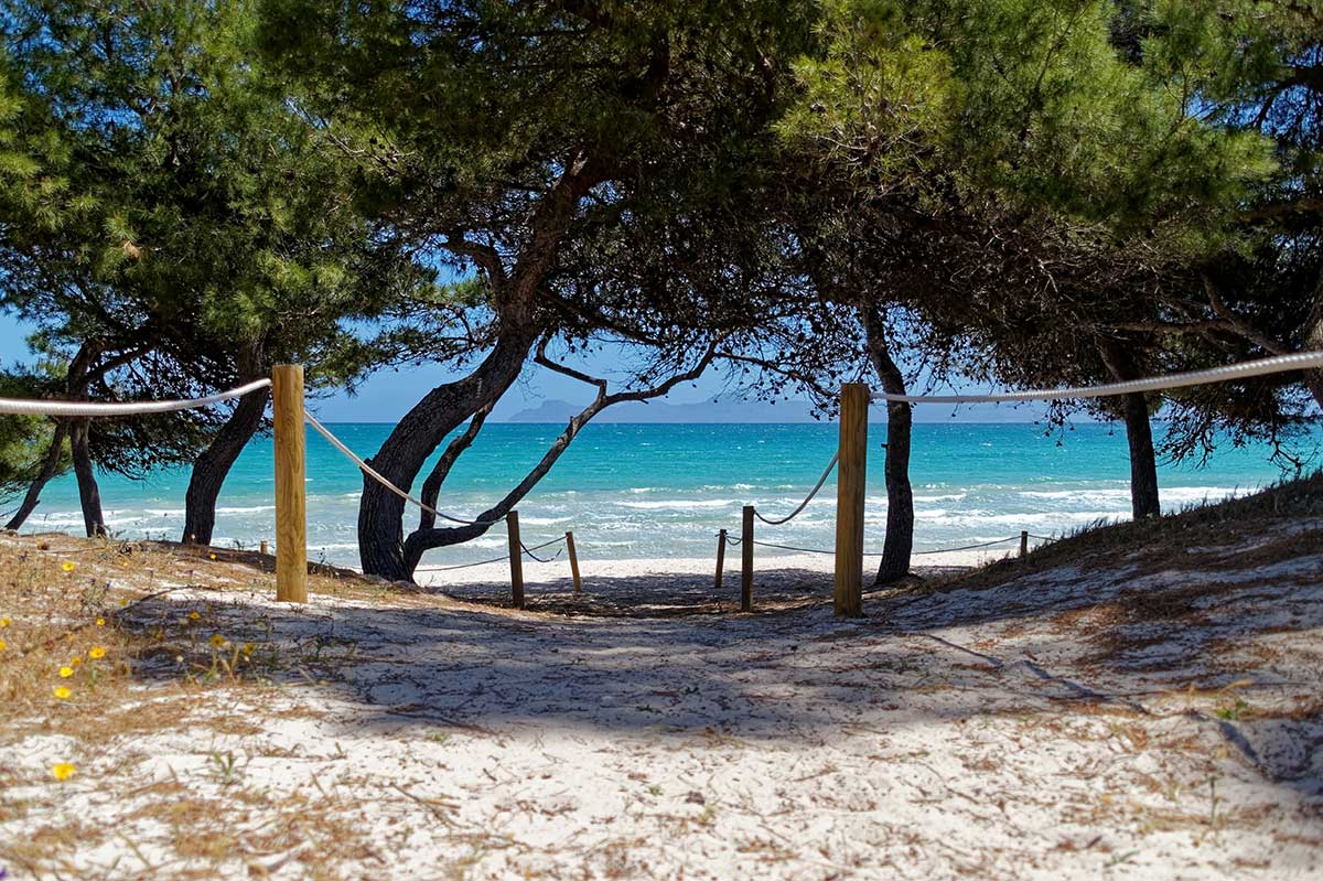Alcudia
